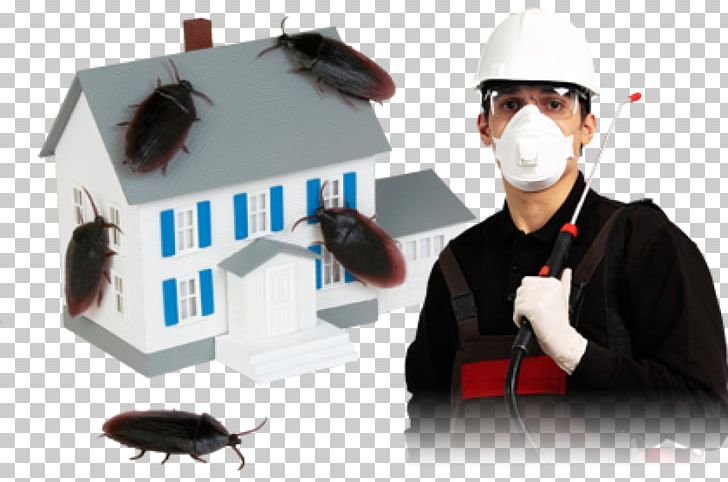Insecticide Cockroach Pest Control Pesticide PNG, Clipart, Animals, Ant, Bedbug, Biology, Business Free PNG Download