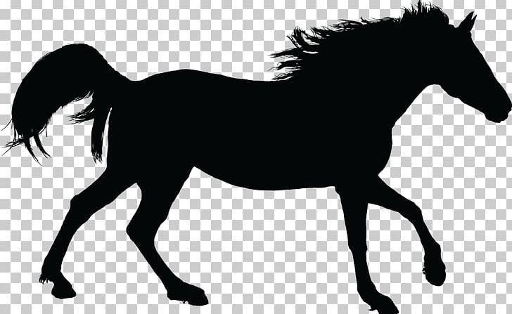 Mustang American Paint Horse Arabian Horse Stallion PNG, Clipart, Arabian Horse, Black, Black And White, Bridle, Colt Free PNG Download