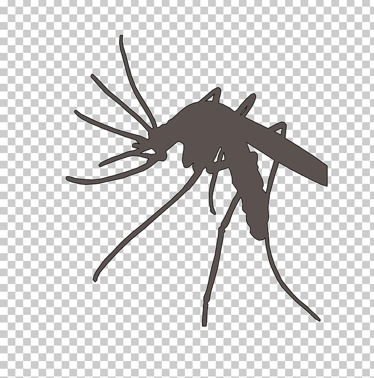 Marsh Mosquitoes Flying Mosquitoes Mosquito Nets & Insect Screens Malaria PNG, Clipart, Amp, Animal, Arthropod, Flying, Flying Mosquitoes Free PNG Download