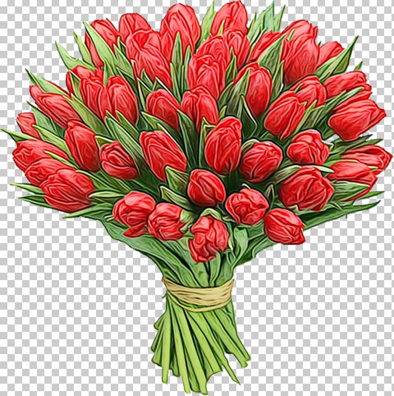 Flower Tulip Plant Cut Flowers Bouquet PNG, Clipart, Bouquet, Cut Flowers, Flower, Lily Family, Paint Free PNG Download