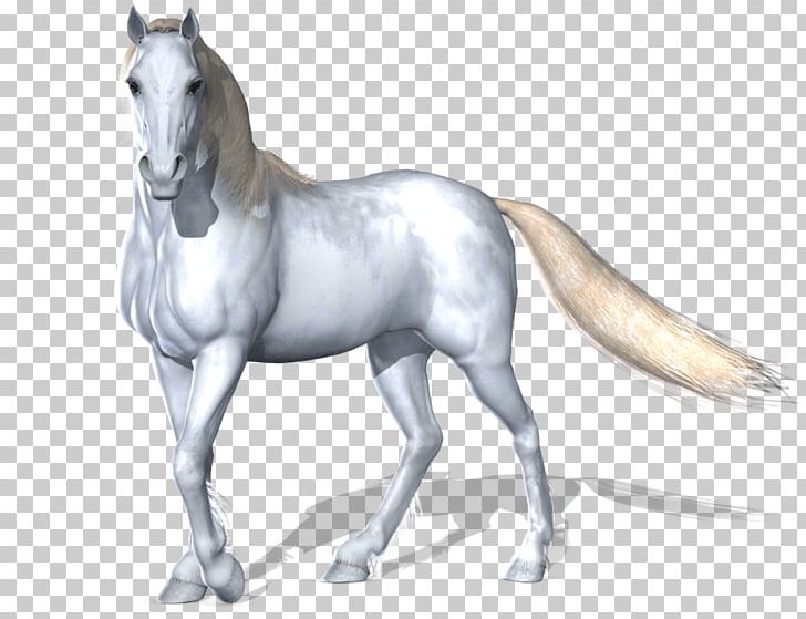 Horse PNG, Clipart, Animals, Biodiversidad, Bridle, Cats, Catsofinstagram Free PNG Download