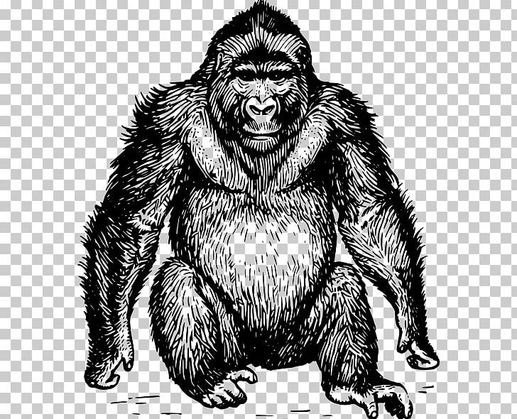 Ape Gorilla PNG, Clipart, Animals, Animal Stencil, Ape, Bear, Black And White Free PNG Download