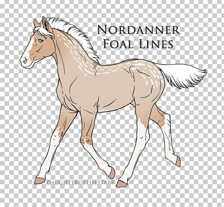 Foal Colt Pony Stallion Mustang PNG, Clipart, Animal Figure, Art, Bridle, Colt, Deviantart Free PNG Download