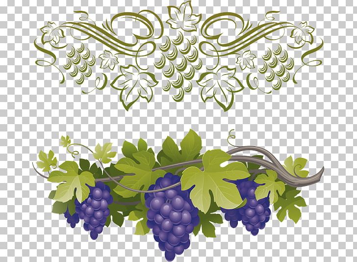 Grape PNG, Clipart, Art, Branch, Floral Design, Flower, Flowering Plant Free PNG Download