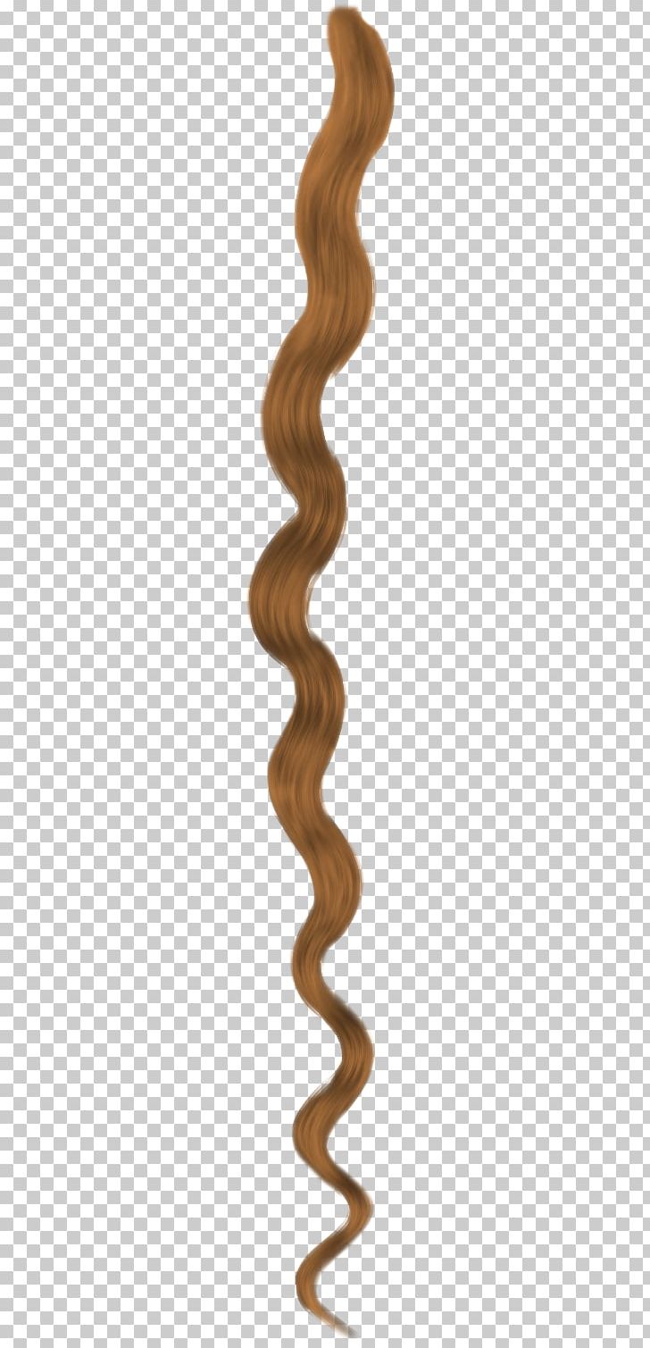 Lock Of Hair Braid Hairstyle Long Hair PNG, Clipart, Black Hair, Braid, Capelli, Color, Curl Free PNG Download