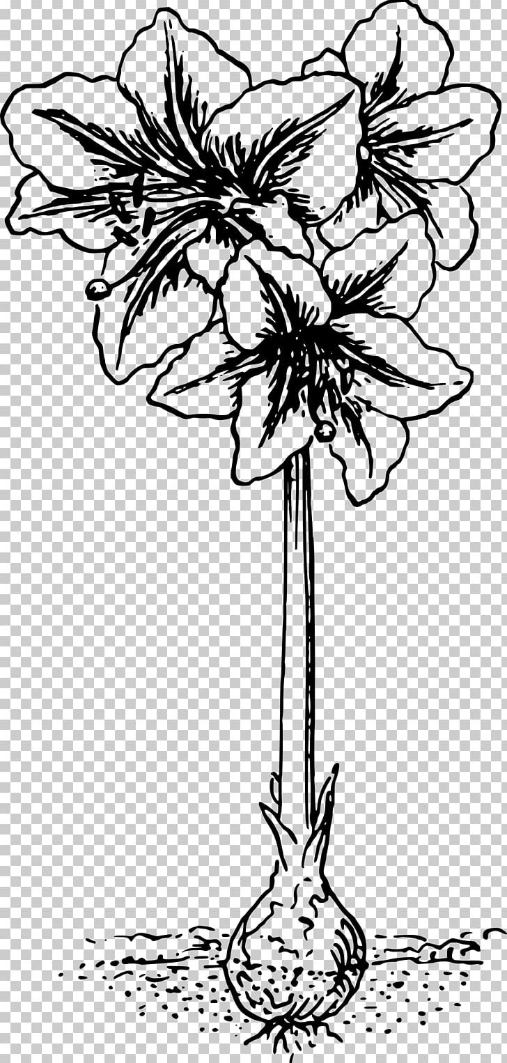 Tattoo Amaryllis Graphics PNG, Clipart, Amaryllis, Art, Artwork, Black And White, Branch Free PNG Download