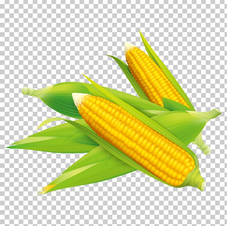 Corn On The Cob Corn Flakes Maize Field Corn PNG, Clipart, Art, Baogu, Cartoon, Cartoon Corn, Commodity Free PNG Download