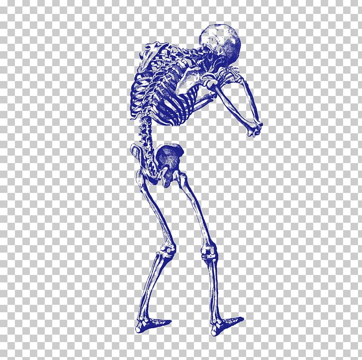 Human Skeleton Skull Euclidean PNG, Clipart, Anatomy, Art, Blue, Body, Encapsulated Postscript Free PNG Download