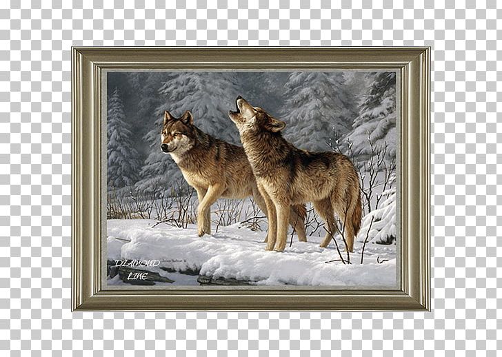 The Call Of The Wild Dog Red Fox Martin Eden Arctic Wolf PNG, Clipart, Animals, Arctic Wolf, Book, Call Of The Wild, Canis Lupus Tundrarum Free PNG Download