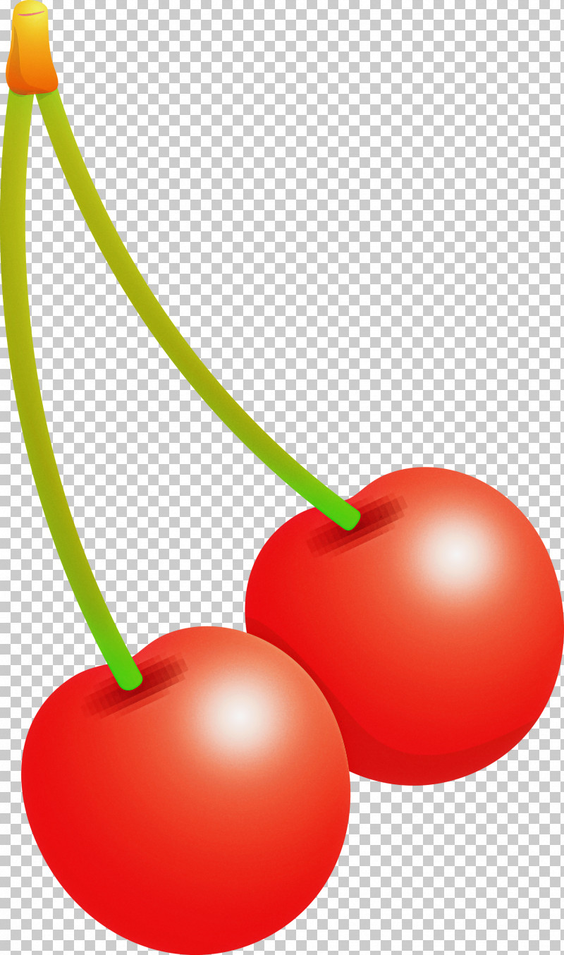 Cherry PNG, Clipart, Acerola Family, Cherry, Drupe, Flower, Food Free PNG Download