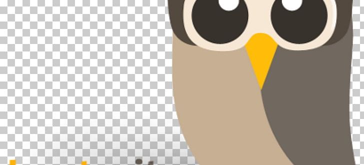 Owl @hootsuite Social Networking Service Facebook PNG, Clipart, Animals, Beak, Bird, Bird Of Prey, Cartoon Free PNG Download
