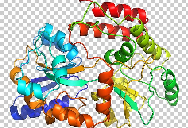 Protein Structure Organism PNG, Clipart, Artwork, Food, Organism, Others, Protein Free PNG Download