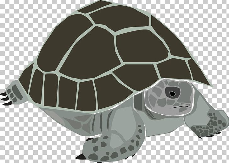 Sea Turtle Zoo Reptile Texas PNG, Clipart, Animal, Animals, Emydidae, Fauna, Monday Free PNG Download