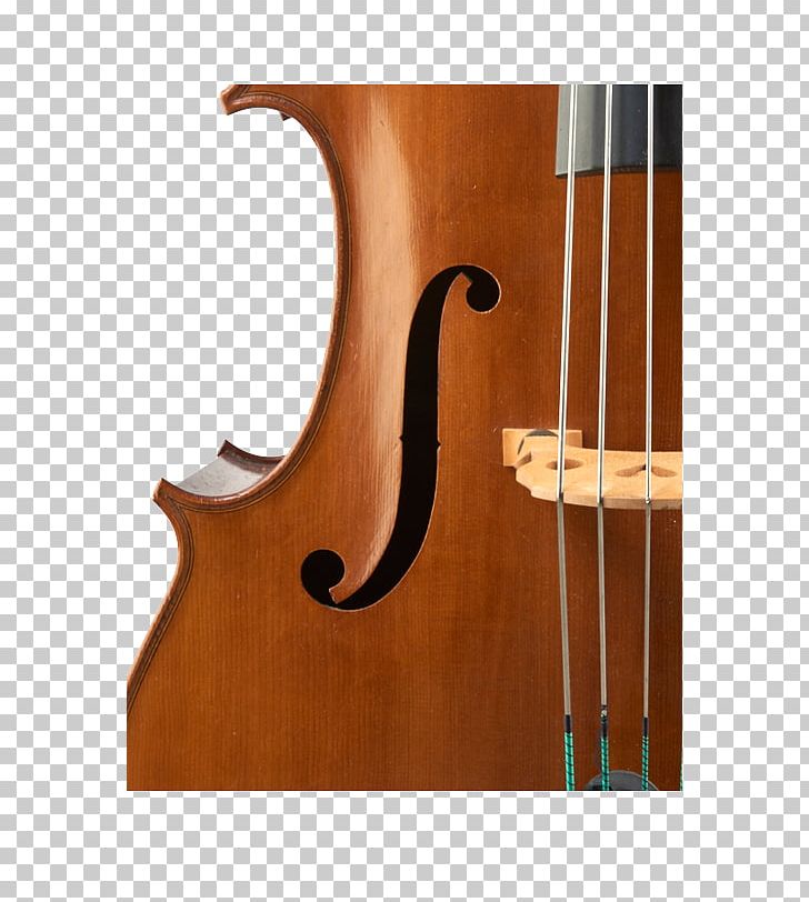 Bass Violin Double Bass Violone Viola Bass Guitar PNG, Clipart, Acousticelectric Guitar, Acoustic Electric Guitar, Acoustic Guitar, Bass Guitar, Bass Violin Free PNG Download