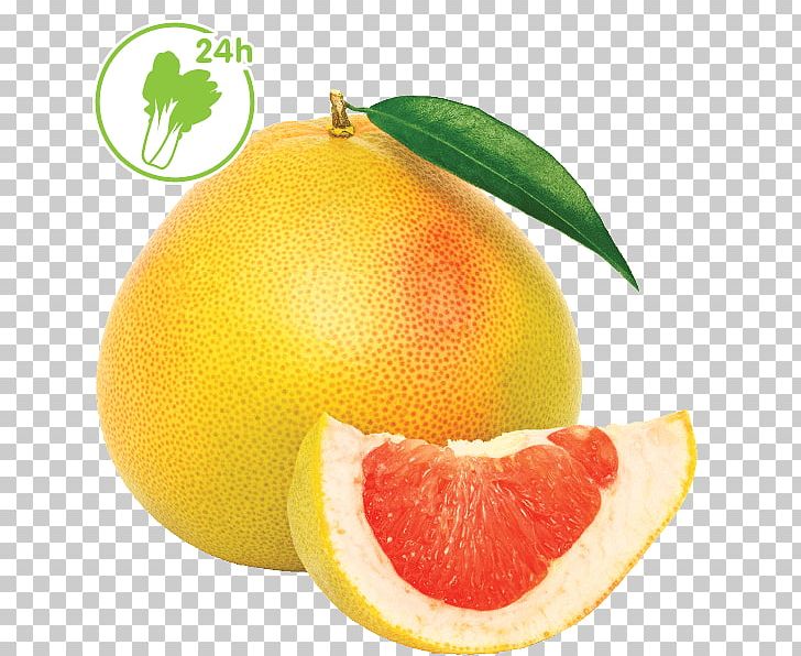 Blood Orange Pomelo Citrus Junos Grapefruit Lemon PNG, Clipart, Amazing, Bitter Orange, Blood Orange, Citric Acid, Citron Free PNG Download