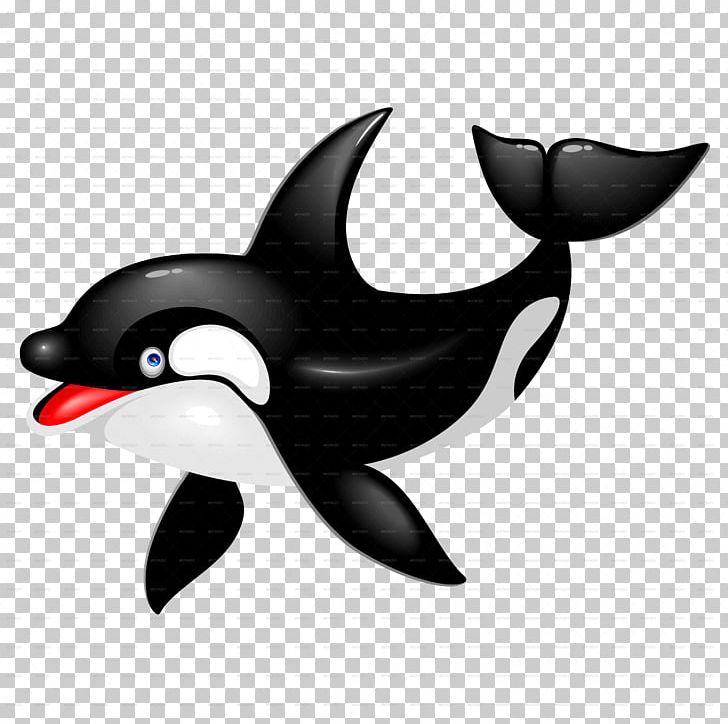 Killer Whale Dolphin Drawing Cetacea PNG, Clipart, Animals, Aquatic Animal, Beak, Bird, Bottlenose Dolphin Free PNG Download