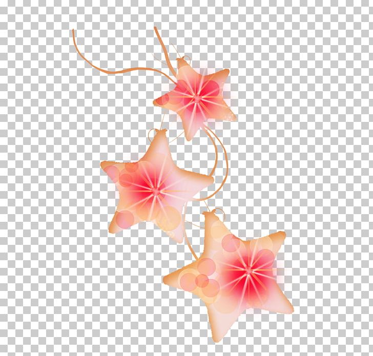 Petal Star PNG, Clipart, Flower, Others, Peach, Petal, Pink Free PNG Download