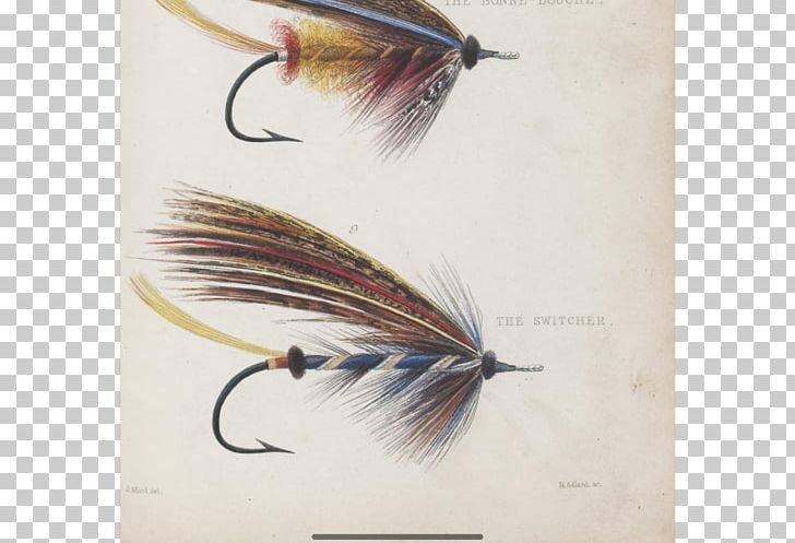 Fishing Baits & Lures Artificial Fly Spinnerbait PNG, Clipart, Artificial Fly, Fishing, Fishing Bait, Fishing Baits Lures, Fishing Lure Free PNG Download