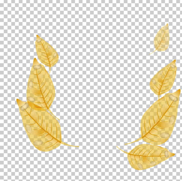 Maple Leaf PNG, Clipart, Autumn Leaves, Autumn Tree, Autumn Vector, Border Frame, Fashion Free PNG Download