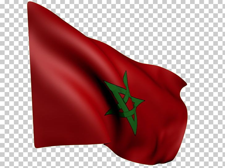 Flag Of Morocco Portable Network Graphics PNG, Clipart, Computer Network, Download, Flag, Flag Of Morocco, Flower Free PNG Download