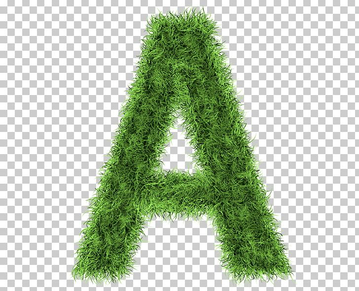 Letter Stock Photography Alphabet PNG, Clipart, Alphabet, Conifer, Evergreen, Grass, Indesign Free PNG Download