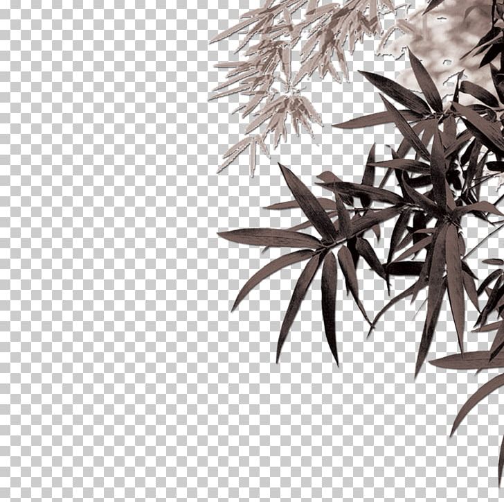 Bamboo Bamboe Leaf Computer File PNG, Clipart, Bamboo Leaves, Bambusa Vulgaris, Branch, Color, Computer Wallpaper Free PNG Download