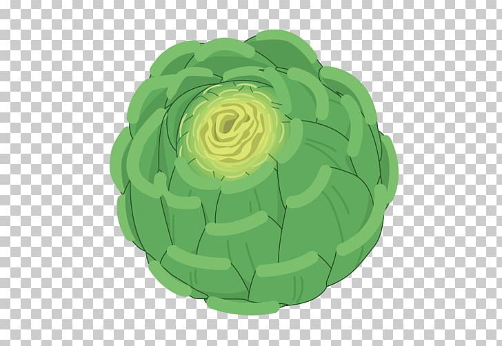 Cabbage PNG, Clipart, Cabbage, Cabbage Leaves, Cabbage Roses, Cabbage Vector, Download Free PNG Download