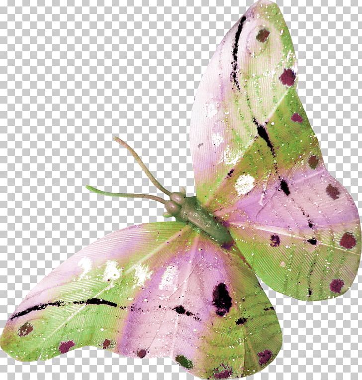 Drawing Butterflies And Moths Small Tortoiseshell PNG, Clipart, Arthropod, Bird, Brush Footed Butterfly, Butterflies And Moths, Butterfly Free PNG Download