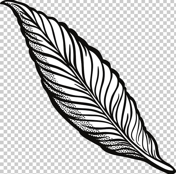 Line Art Drawing Feather PNG, Clipart, Animals, Art, Beak, Bird, Black And White Free PNG Download