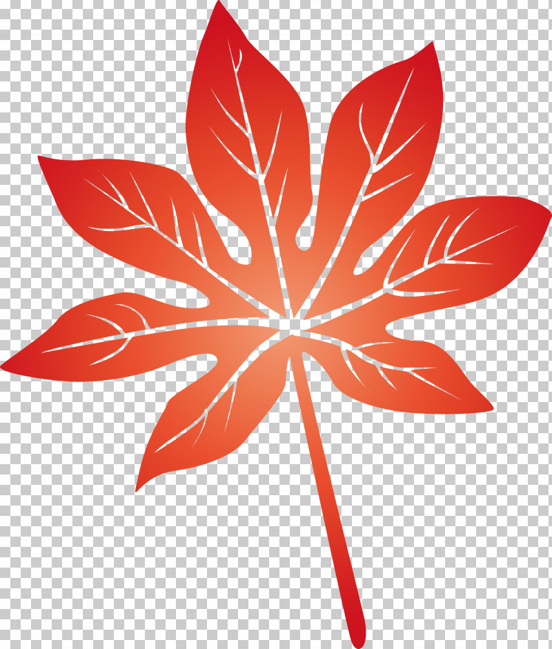 Leaf PNG, Clipart, Biology, Flower, Geometry, Leaf, Maple Leaf M Free PNG Download