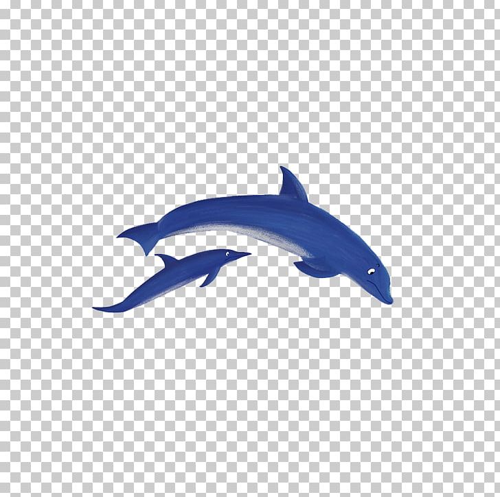 Common Bottlenose Dolphin Tucuxi Porpoise Blue PNG, Clipart, Animal, Animals, Blue, Blue Abstract, Blue Abstracts Free PNG Download