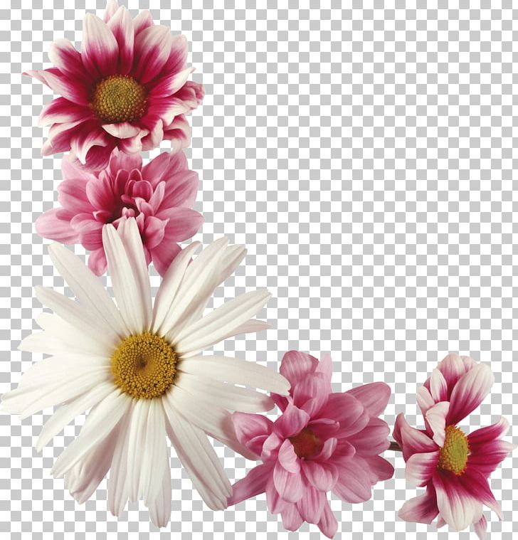 Tatiana Day Holiday Ansichtkaart Name Day PNG, Clipart, Animals, Ansichtkaart, Chrysanths, Cut Flowers, Dahlia Free PNG Download
