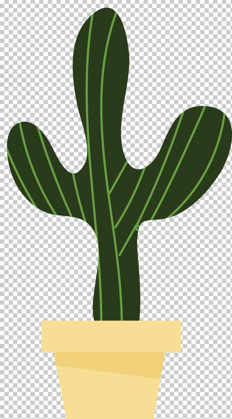 Mexico Elements PNG, Clipart, Biology, Cactus, Flower, Leaf, Meter Free PNG Download
