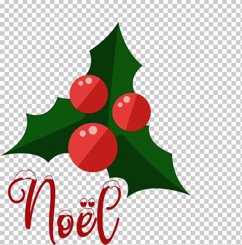 Noel Xmas Christmas PNG, Clipart, Aquifoliales, Christmas, Christmas Day, Christmas Ornament, Christmas Ornament M Free PNG Download