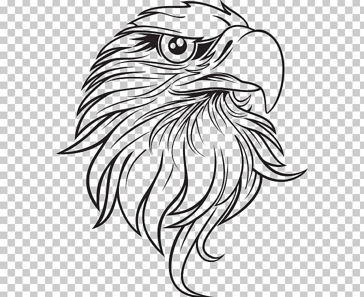 Bald Eagle Drawing PNG, Clipart, Art, Art Museum, Artwork, Bald Eagle, Beak Free PNG Download