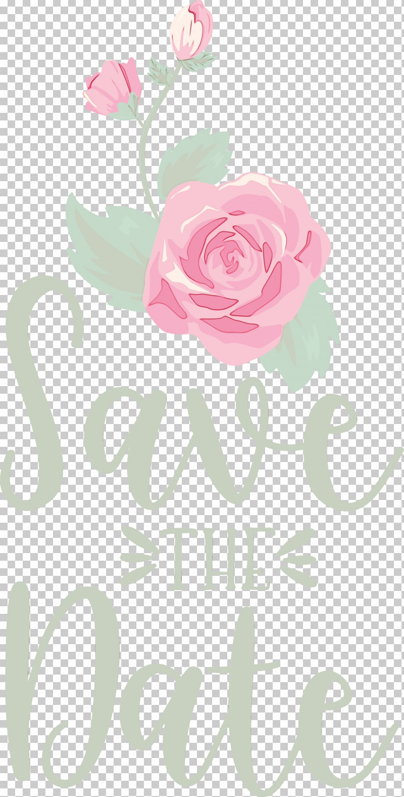 Floral Design PNG, Clipart, Cut Flowers, Floral Design, Flower, Flower Bouquet, Garden Free PNG Download