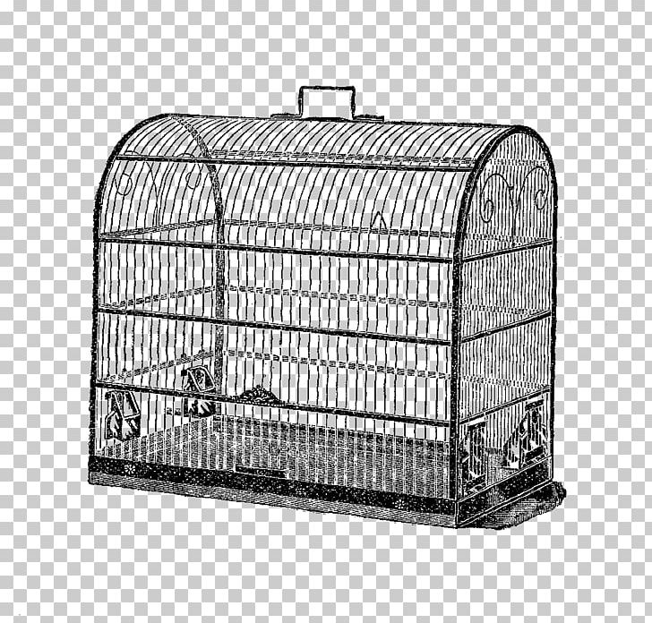 Birdcage Domestic Canary PNG, Clipart, Animals, Automotive Exterior, Bird, Birdcage, Black And White Free PNG Download