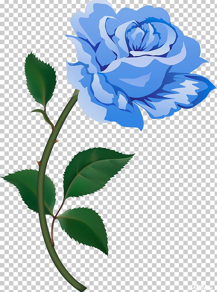 Desktop Flower PNG, Clipart, Blue Rose, Branch, Cut Flowers, Desktop Wallpaper, English Rose Free PNG Download