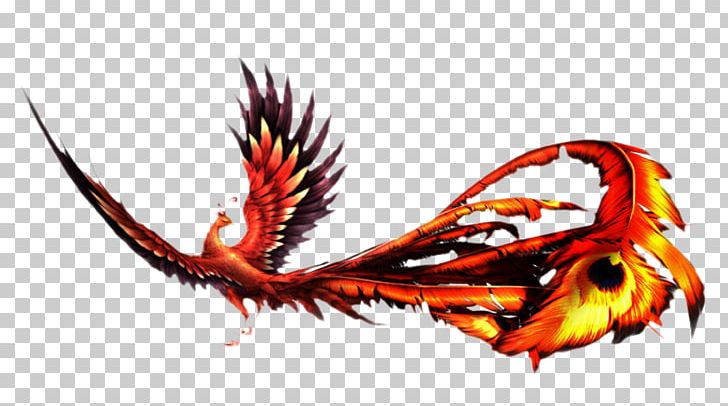 Fenghuang PNG, Clipart, Beak, Computer Wallpaper, Dragon, Dragon And Phoenix, Dragon Phoenix Free PNG Download