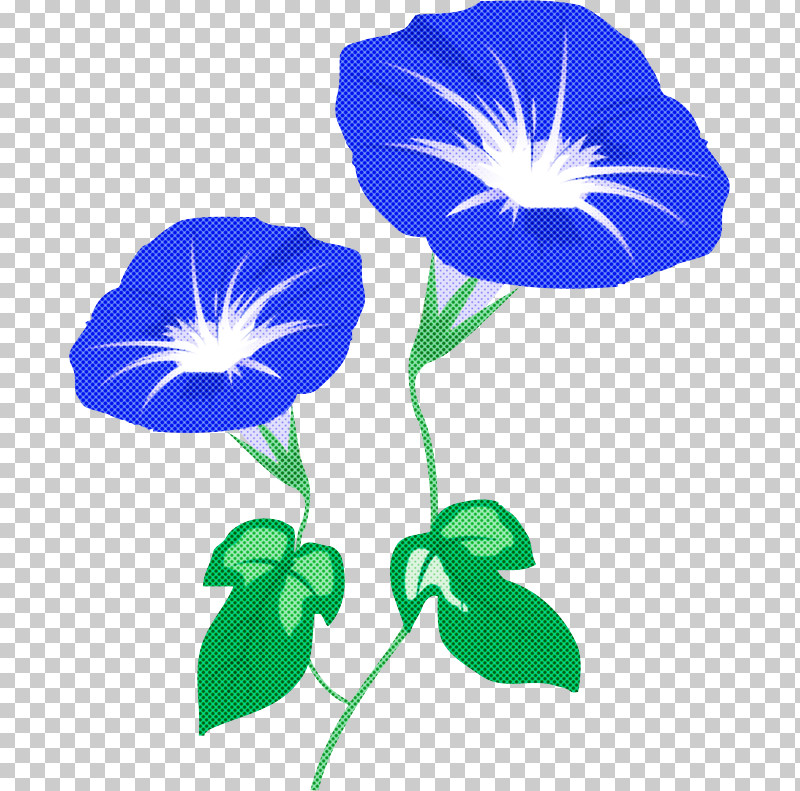 Morning Glory Summer Flower PNG, Clipart, Flower, Japanese Morning Glory, Leaf, Morning Glory, Pansy Free PNG Download