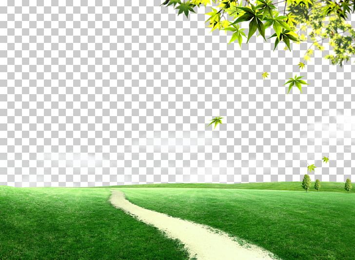 Grassland Trail PNG, Clipart, Angle, Bluegrass, Computer Icons, Computer Wallpaper, Energy Free PNG Download