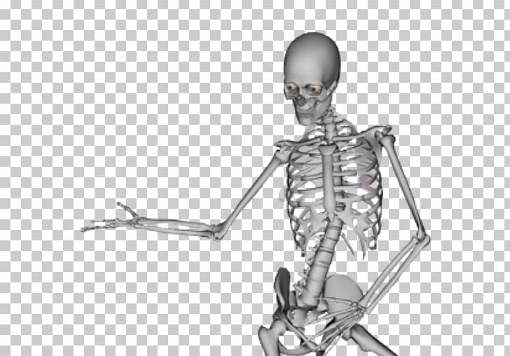 Human Skeleton Skull Dance Bone PNG, Clipart, Anatomy, Arm, Art, Black And White, Bone Free PNG Download