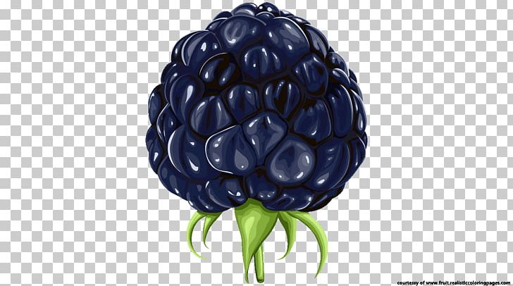 Bilberry Blackberry PNG, Clipart, Auglis, Berry, Bilberry, Blackberries, Blackberry Free PNG Download