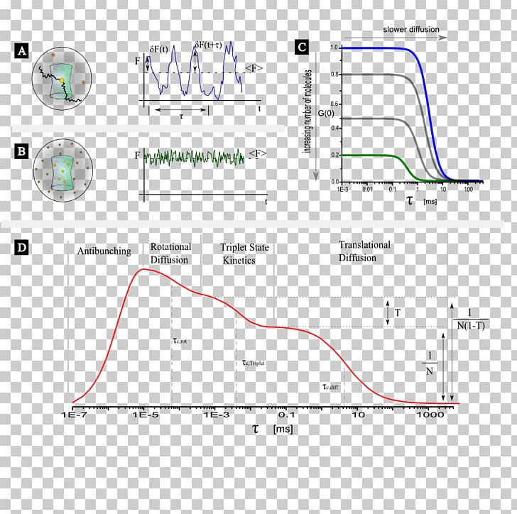 Fluorescence Correlation Spectroscopy Triplet State Autocorrelation PNG, Clipart, Angle, Area, Chemical Kinetics, Concentration, Confocal Microscopy Free PNG Download