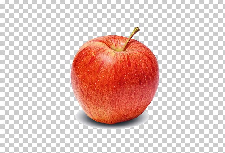 McIntosh Red Gala Cooking Apple Golden Delicious PNG, Clipart,  Free PNG Download