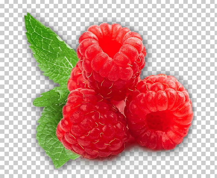 Raspberry PNG, Clipart, Berry, Bestrong, Black Raspberry, Fitness, Food Free PNG Download