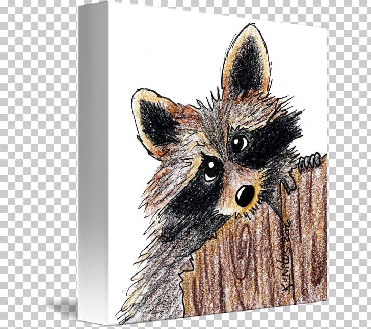 Red Fox Dog Raccoon Whiskers Snout PNG, Clipart, Animals, Blanket, Carnivoran, Dog, Dog Like Mammal Free PNG Download