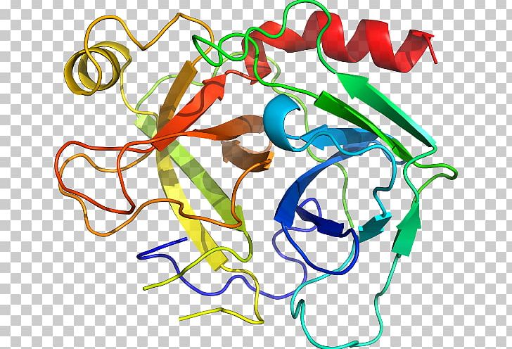 Organism Line PNG, Clipart, Area, Art, Artwork, Line, Organism Free PNG Download