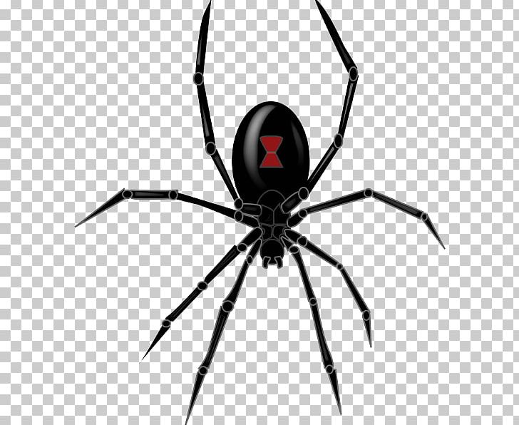 Southern Black Widow Redback Spider Drawing PNG, Clipart, Animals, Arachnid, Art, Arthropod, Black And White Free PNG Download