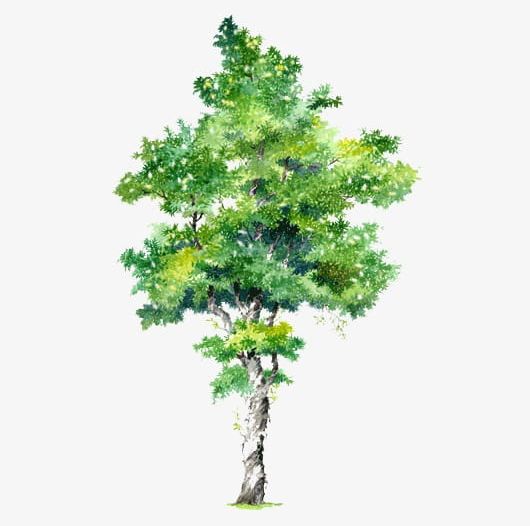 Trees Creative Green Trees Painted Element PNG, Clipart, Cartoon, Cartoon Tree Element, Creative, Creative Cartoon Trees, Creative Clipart Free PNG Download